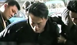 97啪啪视频,一场视觉与情感的震撼之旅