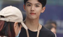 娱乐圈吃瓜双男主小说,瓜田里的甜蜜邂逅